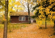 house in park 이미지 (134812425) - 게티이미지뱅크 house in park