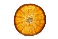 Orange 이미지 (153168485) - 게티이미지뱅크 Orange