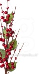 Isolated christmas decoration with red holly border 이미지 (149411141) - 게티이미지뱅크 Isolated christmas decoration with... 