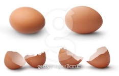 Egg Special 2 이미지 (153249884) - 게티이미지뱅크 Egg Special 2