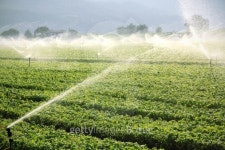 farm background, irrigation system 이미지 (135455498) - 게티이미지뱅크 farm background, irrigation system