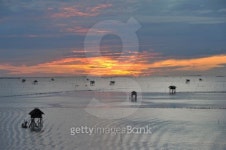 fish farm 이미지 (176863753) - 게티이미지뱅크 fish farm