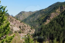 Mountains in Montenegro,Tara 이미지 (177126876) - 게티이미지뱅크 Mountains in Montenegro,Tara