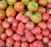 raw vegetable 이미지 (135114345) - 게티이미지뱅크 raw vegetable