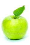 Apple 이미지 (153013639) - 게티이미지뱅크 Apple