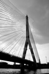 Bridge in Black & White 이미지 (135756946) - 게티이미지뱅크 Bridge in Black & White