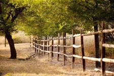 Rural Scenic with Trees and Rail Fence 이미지 (184103723) - 게티이미지뱅크 Rural Scenic with Trees and Rail Fence