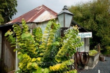 Old corrugated iron blacksmith shop. 이미지 (120619900) - 게티이미지뱅크 Old corrugated iron blacksmith shop.