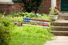 Garden 이미지 (184280887) - 게티이미지뱅크 Garden