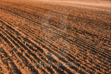 Soil 이미지 (120801636) - 게티이미지뱅크 Soil