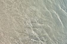 Blue sea water with sunlight reflections 이미지 (135812716) - 게티이미지뱅크 Blue sea water with sunlight reflections