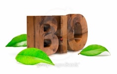 bio 이미지 (149958453) - 게티이미지뱅크 bio