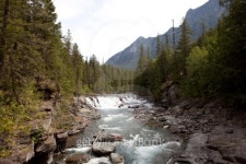 Glacier Park 이미지 (134835197) - 게티이미지뱅크 Glacier Park