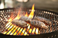 Sausages Cooking on the Campfire 이미지 (184860610) - 게티이미지뱅크 Sausages Cooking on the Campfire