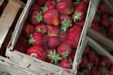 Strawberries 이미지 (155247451) - 게티이미지뱅크 Strawberries