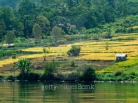 Lake Toba and its view around 이미지 (154192321) - 게티이미지뱅크 Lake Toba and its view around