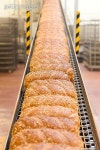 빠삐용빵 팩토리 | Loafs of bread in the factory 이미지 (153150345) - 게티이미지뱅크 Loafs of bread in the factory