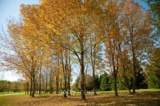 Autumn 이미지 (134158371) - 게티이미지뱅크 Autumn