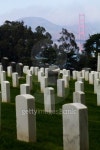 Golden Gate Bridge from San Francisco National Cemetery 이미지 (176953403) - 게티이미지뱅크 Golden Gate Bridge from San... 