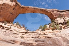 Owachomo Bridge is a Natural Rock Formation 이미지 (155544408) - 게티이미지뱅크 Owachomo Bridge is a Natural Rock Formation