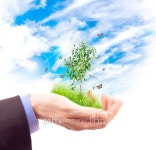 Symbol of the environment. 이미지 (152989236) - 게티이미지뱅크 Symbol of the environment.