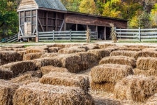 Hay Maze at Mount Vernon Farm 이미지 (156575494) - 게티이미지뱅크 Hay Maze at Mount Vernon Farm
