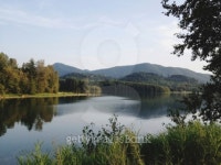 Alder lake 이미지 (161666931) - 게티이미지뱅크 Alder lake