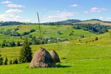 Karpaty, End summer 이미지 (154008934) - 게티이미지뱅크 Karpaty, End summer