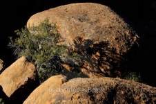 Rock formation at Spitzkoppe in namibia 이미지 (178632104) - 게티이미지뱅크 Rock formation at Spitzkoppe in namibia