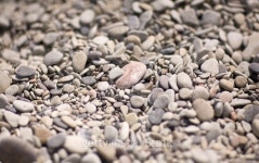 Pebbles background 이미지 (141254388) - 게티이미지뱅크 Pebbles background