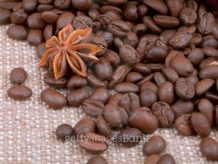 background from grain of coffee and anise spilled on sacking... background from grain of coffee and anise spilled on sacking