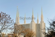 D.C. Temple 이미지 (153762752) - 게티이미지뱅크 D.C. Temple