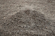 Soil 이미지 (154406603) - 게티이미지뱅크 Soil