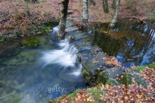 waterfall 이미지 (148087899) - 게티이미지뱅크 waterfall