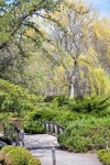 Springtime Park 이미지 (159191247) - 게티이미지뱅크 Springtime Park