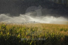 Okanagan Valley Corn Field Irrigation 이미지 (153397851) - 게티이미지뱅크 Okanagan Valley Corn Field Irrigation