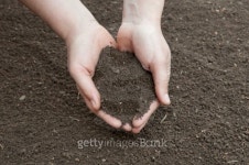 Soil 이미지 (177090857) - 게티이미지뱅크 Soil