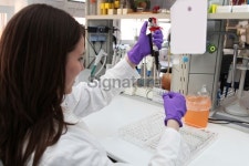 In a biochemical lab 이미지 (185074902) - 게티이미지뱅크 In a biochemical lab