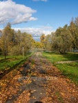 autumn path 이미지 (178637183) - 게티이미지뱅크 autumn path