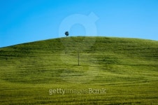 Tuscany Hills 이미지 (177331241) - 게티이미지뱅크 Tuscany Hills