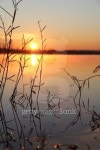 good morning, winter 이미지 (154414821) - 게티이미지뱅크 good morning, winter