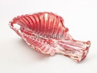 Whole raw lamp chops 이미지 (174973317) - 게티이미지뱅크 Whole raw lamp chops