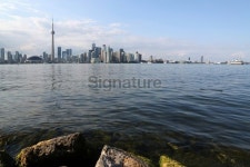 Toronto Skyline 이미지 (171317822) - 게티이미지뱅크 Toronto Skyline