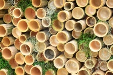 Bamboo Decoration in the garden 이미지 (153045281) - 게티이미지뱅크 Bamboo Decoration in the garden