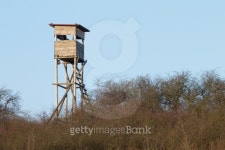 Hunter deer stand 이미지 (138011336) - 게티이미지뱅크 Hunter deer stand