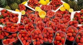 Organic Strawberries 이미지 (154149926) - 게티이미지뱅크 Organic Strawberries