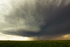 Large thunderstorm sweeps over farm 이미지 (174938346) - 게티이미지뱅크 Large thunderstorm sweeps over farm