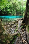 Blue Lake in Deep Forest 이미지 (156455495) - 게티이미지뱅크 Blue Lake in Deep Forest