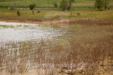 Close to the lake 이미지 (153210718) - 게티이미지뱅크 Close to the lake