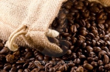 freshly roasted coffee beans in a jute bag 이미지 (148792362) - 게티이미지뱅크 freshly roasted coffee beans in a jute bag